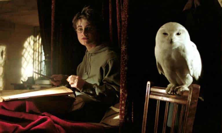 What is Harry Potter’s owl Name