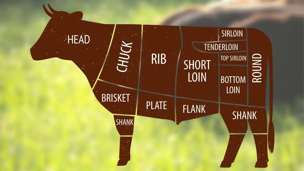 How Many Steaks in a Cow ?