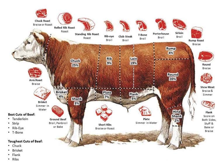 What Part of the Cow is Brisket ?