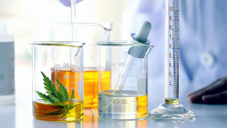 Extraction Processes Of CBD
