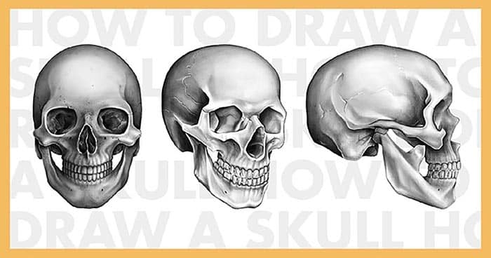 How to Draw a Skull with Easy Steps